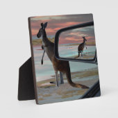 カンガルービーチ フォトプラーク (正面)