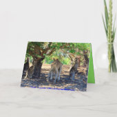 カンガルーファミリーハッピーバースデーユーモア カード (裏面)