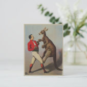 カンガルーボクシングサイドショー ポストカード (スタンド正面)