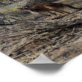 カンガルー一方でThe Billabongのポスター ポスター (角)