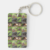 カンガルー写真コラージュ キーホルダー (裏面)