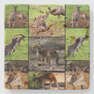 カンガルー写真コラージュ ストーンコースター