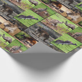 カンガルー写真コラージュ ラッピングペーパー (角)