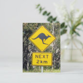 カンガルー徴候 ポストカード (スタンド正面)