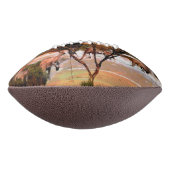 カンガルー油絵ビーチ、 アメリカンフットボール (回転90)