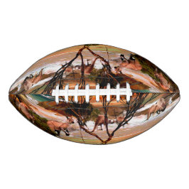 カンガルー油絵ビーチ、 アメリカンフットボール