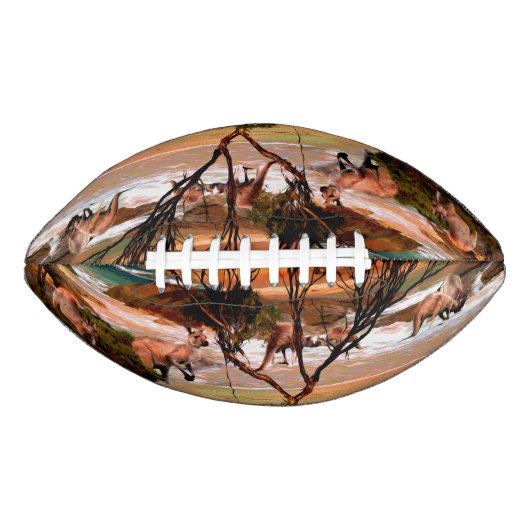 カンガルー油絵ビーチ、 アメリカンフットボール (正面)