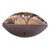 カンガルー油絵ビーチ、 アメリカンフットボール (回転270)