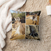 カンガルー画像3枚コラージュ、クッション クッション (ブランケット)