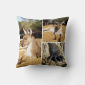 カンガルー画像3枚コラージュ、クッション クッション (裏面)