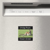 カンガルー磁石の下からG'day マグネット (インサイチュ (食洗機))