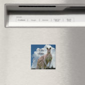 カンガルー磁石 マグネット (インサイチュ (食洗機))