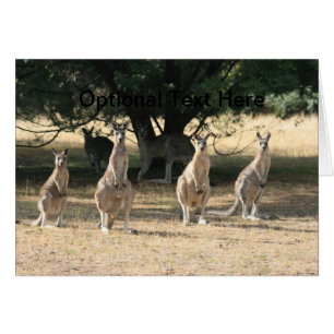 カンガルー続けて
