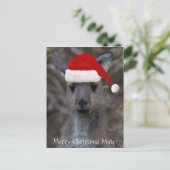 カンガルー顔サンタハットメリークリスマスメイト ポストカード (スタンド正面)