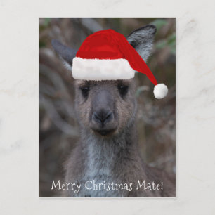 カンガルー顔サンタハットメリークリスマスメイト ポストカード