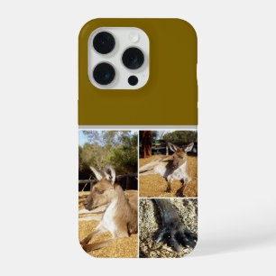 カンガルー3匹の画像コラージュクッション iPhone 15 PROケース