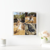 カンガルー3写真コラージュ スクエア壁時計 (ホーム)