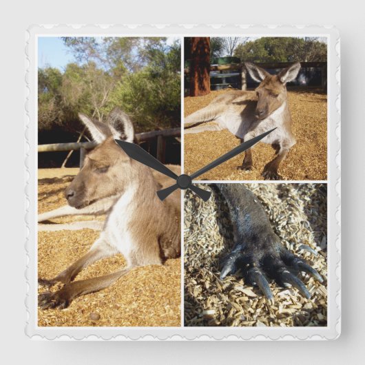 カンガルー3写真コラージュ スクエア壁時計 (正面)