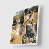 カンガルー3写真コラージュ スクエア壁時計 (傾斜)