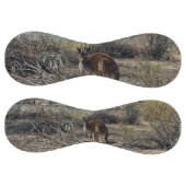 カンガルー、その間にビラボンで ソフトボール (パネル)