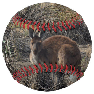 カンガルー、その間にビラボンで ソフトボール