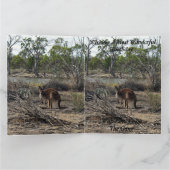 カンガルー・アット・ザ・ビラボン、ジャンボ誕生日・カード、 カード (内部)