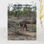 カンガルー・アット・ザ・ビラボン、ジャンボ誕生日・カード、 カード (黄色い花)