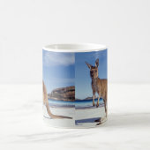 カンガルー コーヒーマグカップ (中央)