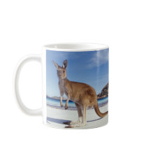 カンガルー