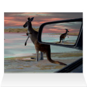 カンガルー・シーサイド風 (内部横(上))