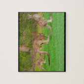 カンガルー ジグソーパズル (縦)