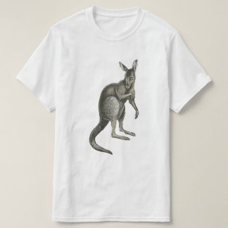カンガルー スケッチ デザイン グラフィックTシャツ Tシャツ