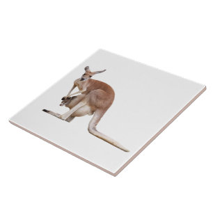 カンガルー タイル
