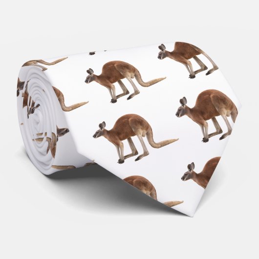 カンガルー ネクタイ (ロール)
