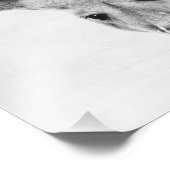 カンガルー フォトプリント            (角)