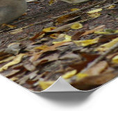 カンガルー ポスター (角)