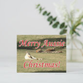 カンガルー ポストカード (スタンド正面)