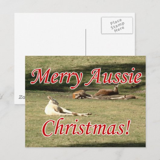 カンガルー ポストカード (正面/裏面)