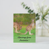 カンガルー ポストカード (スタンド正面)