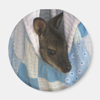 カンガルー マグネット