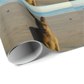 カンガルー ラッピングペーパー (ロールコーナー)