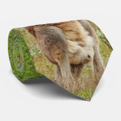 カンガルー–1, ネクタイ (ロール)