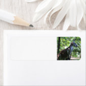 カンガロ差出人住所ラベル ラベル (インサイチュ)