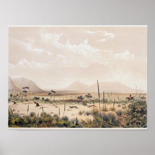 カンガロ狩り ポスター (正面)