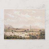 カンガロ狩り ポストカード (正面)