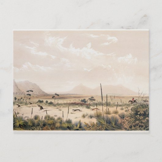 カンガロ狩り ポストカード (正面)