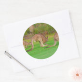 カンガ ラウンドシール (封筒)