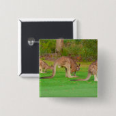 カンガ 缶バッジ (正面&裏面)