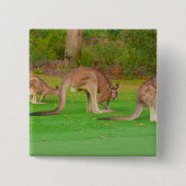 カンガ 缶バッジ (正面)