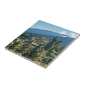 カンクテイ・ゲーマバ仏教修道院,ブータン中部 タイル (側面)